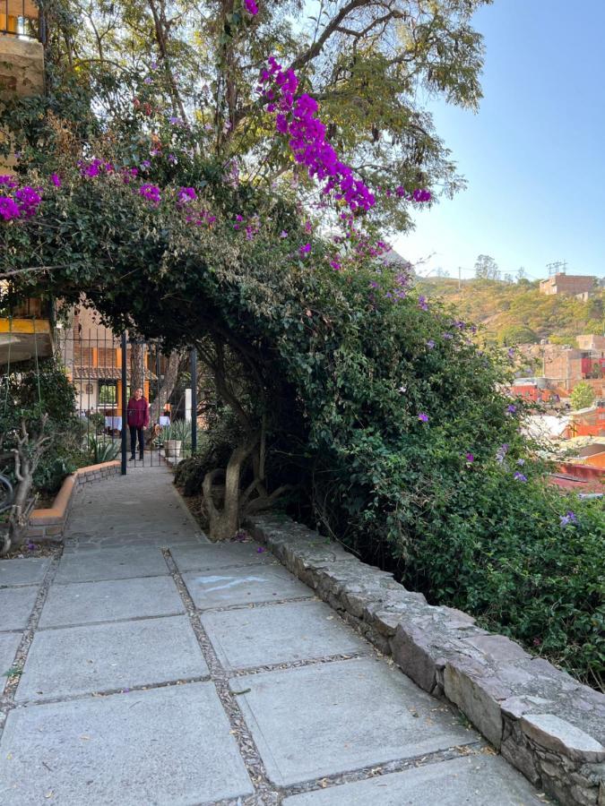 ホテル Casa Diez-59 Guanajuato Capital エクステリア 写真